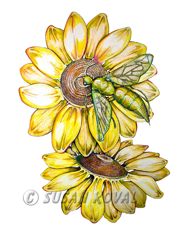 Bee Sun Flower